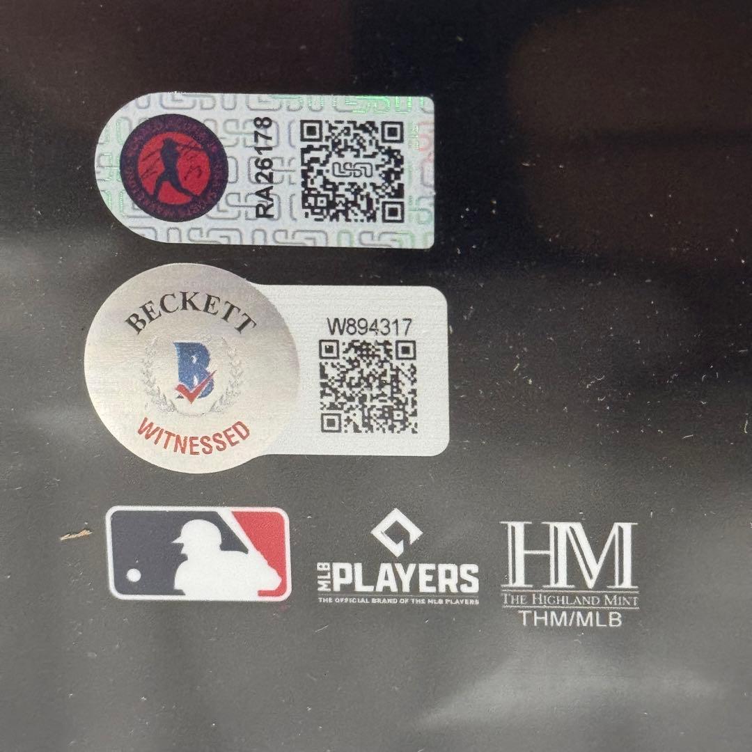 ブレーブス アクーニャJr 直筆サインフォト 2023 NL MVP 証明付