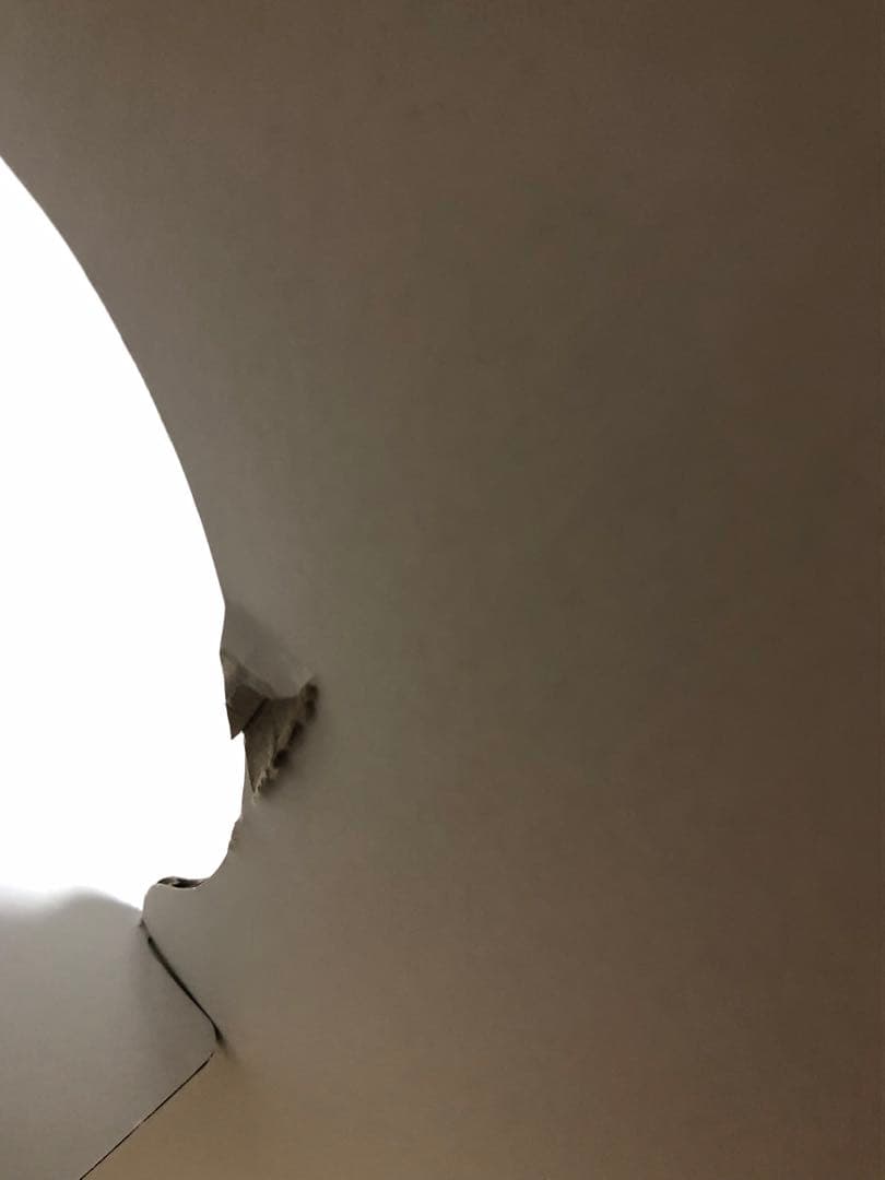 大谷翔平　等身大