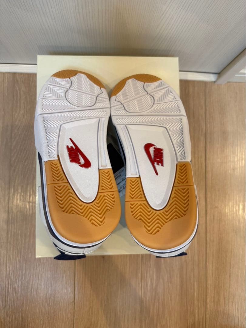 NIKE SB JORDAN 4 ジョーダン4 27.5cm