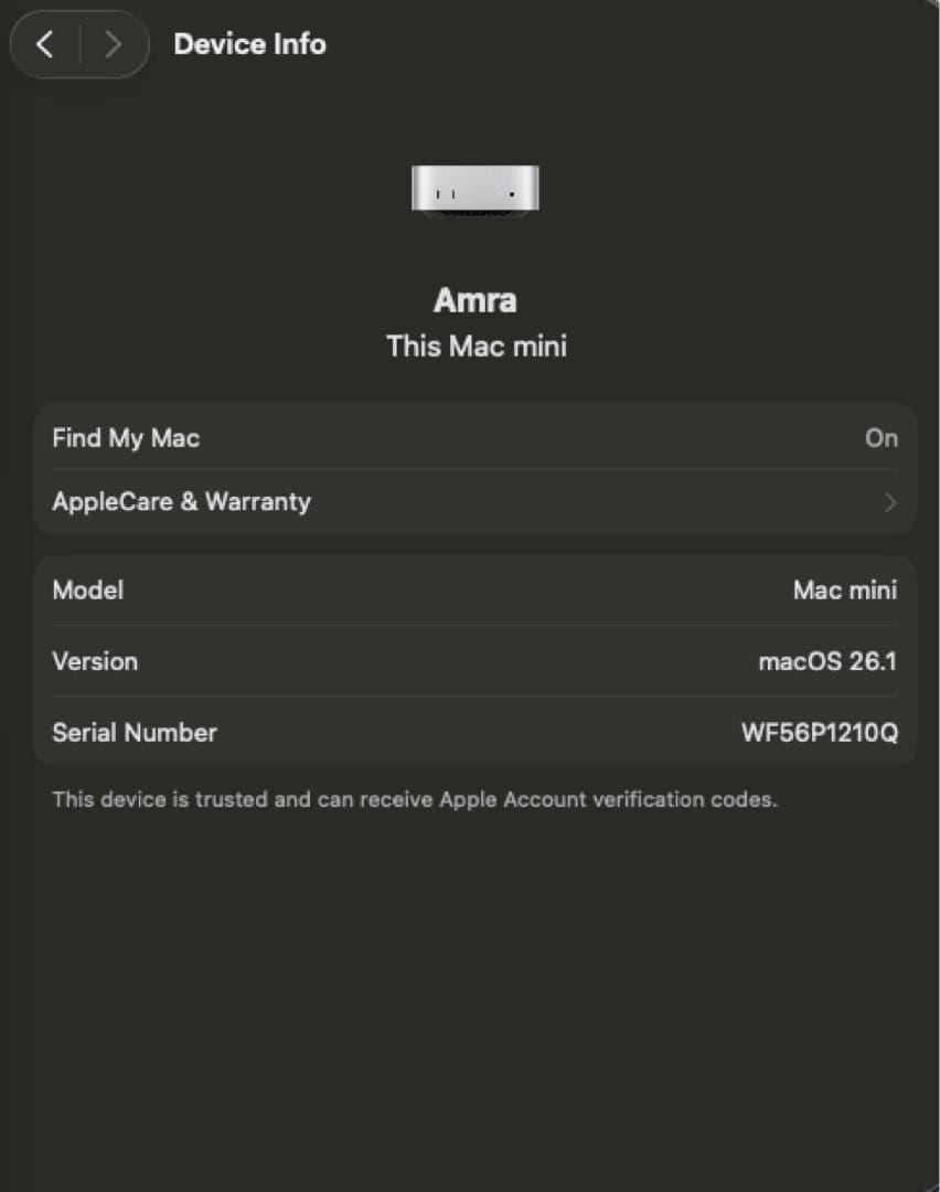 Mac Mini 2024 M4 24GB 1TB (箱あり)