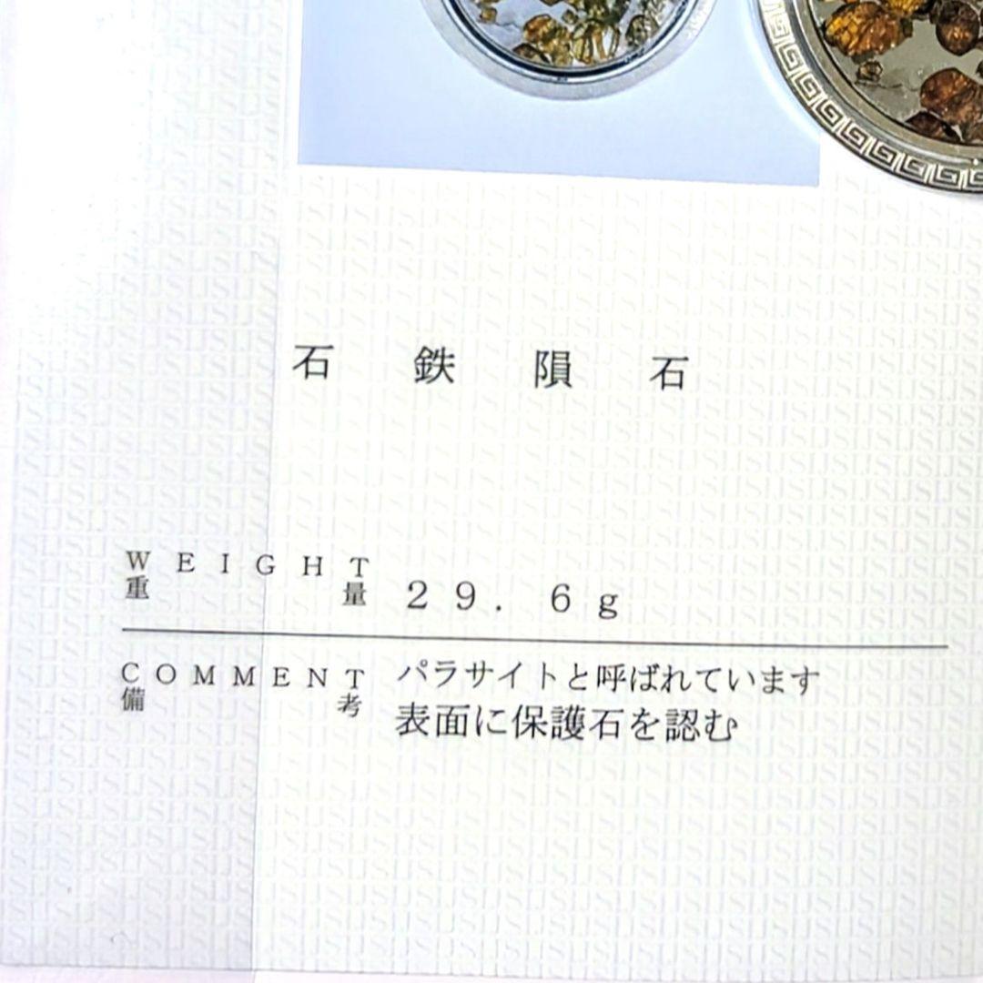 石鉄隕石（セリコ パラサイト）ペンダント トップ【鑑別書付】