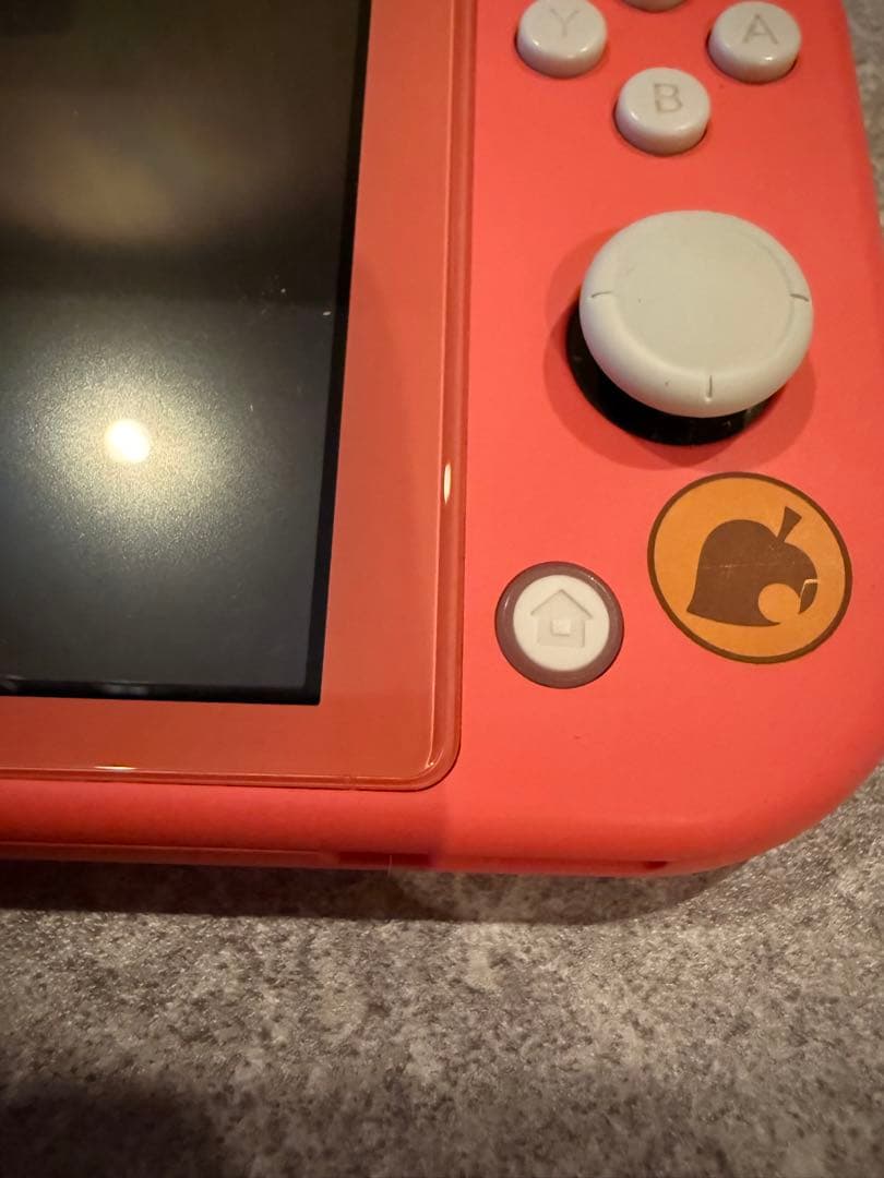 美品Switch Lite あつまれどうぶつの森セットしずえアロハ