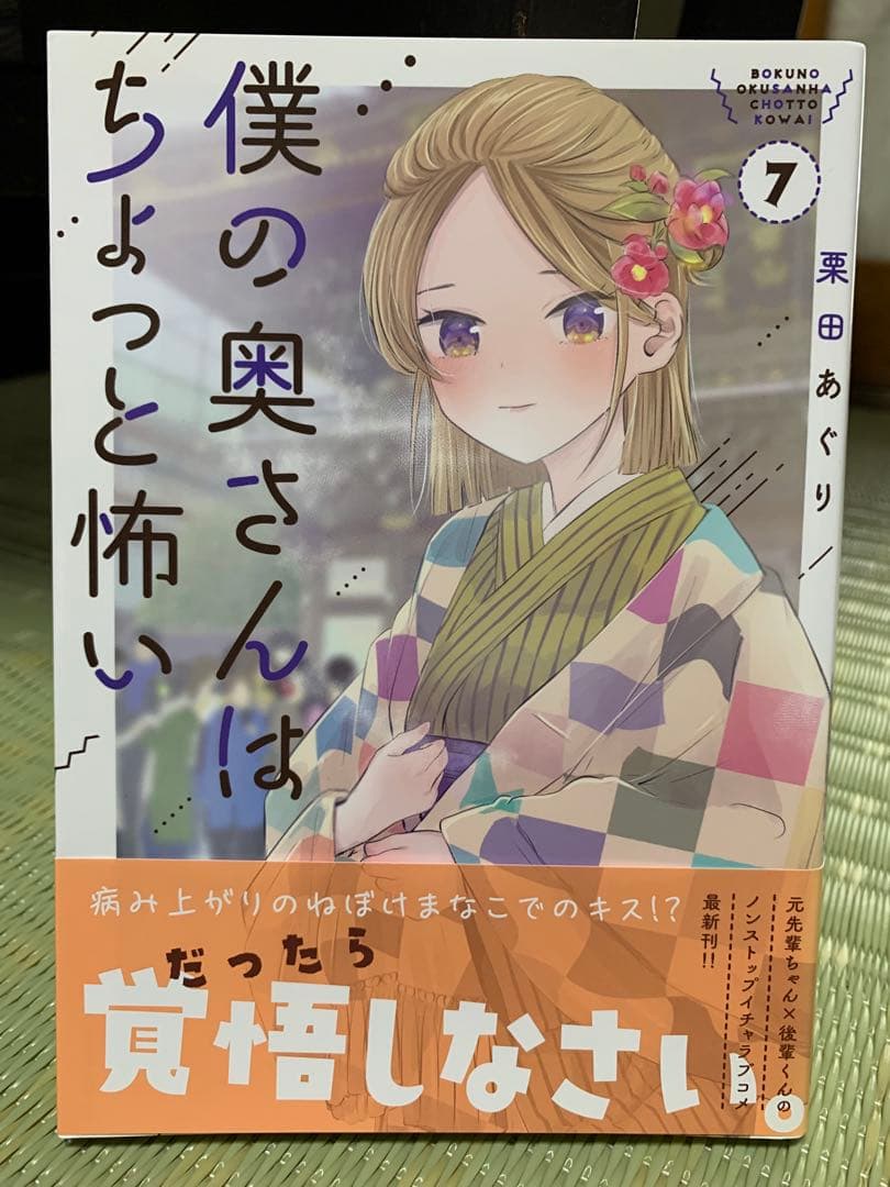 僕の奥さんはちょっと怖い 13巻セット