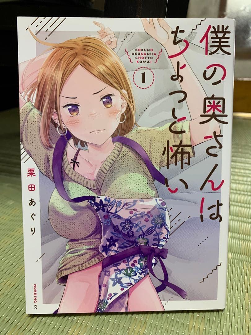 僕の奥さんはちょっと怖い 13巻セット