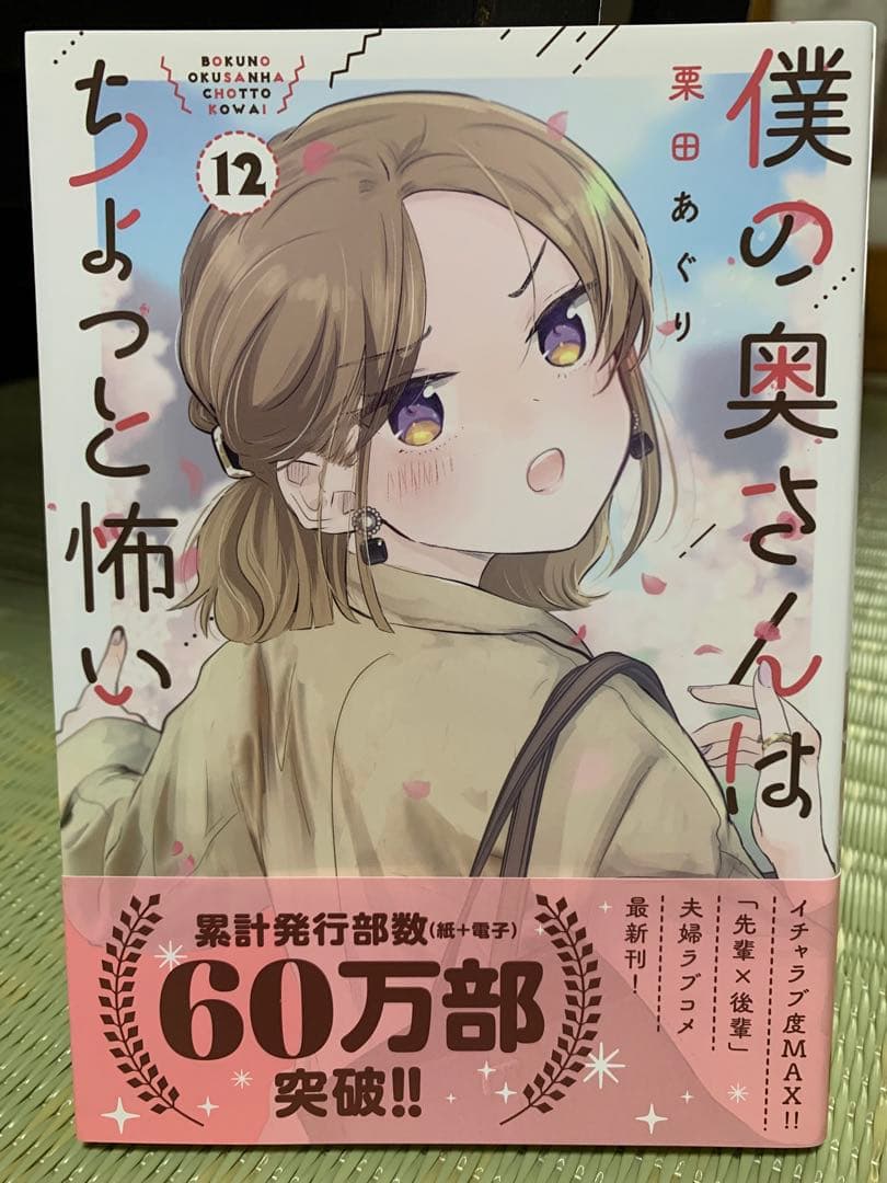 僕の奥さんはちょっと怖い 13巻セット