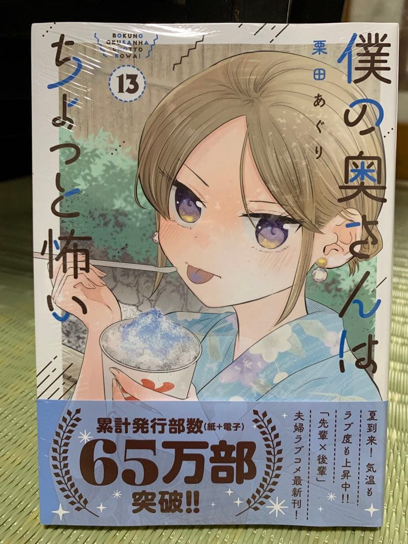 僕の奥さんはちょっと怖い 13巻セット