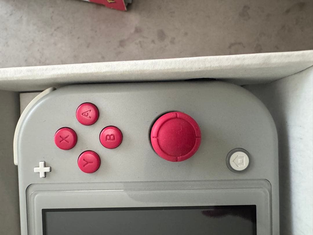 Nintendo Switch Lite グレー ポケモン ジャンク