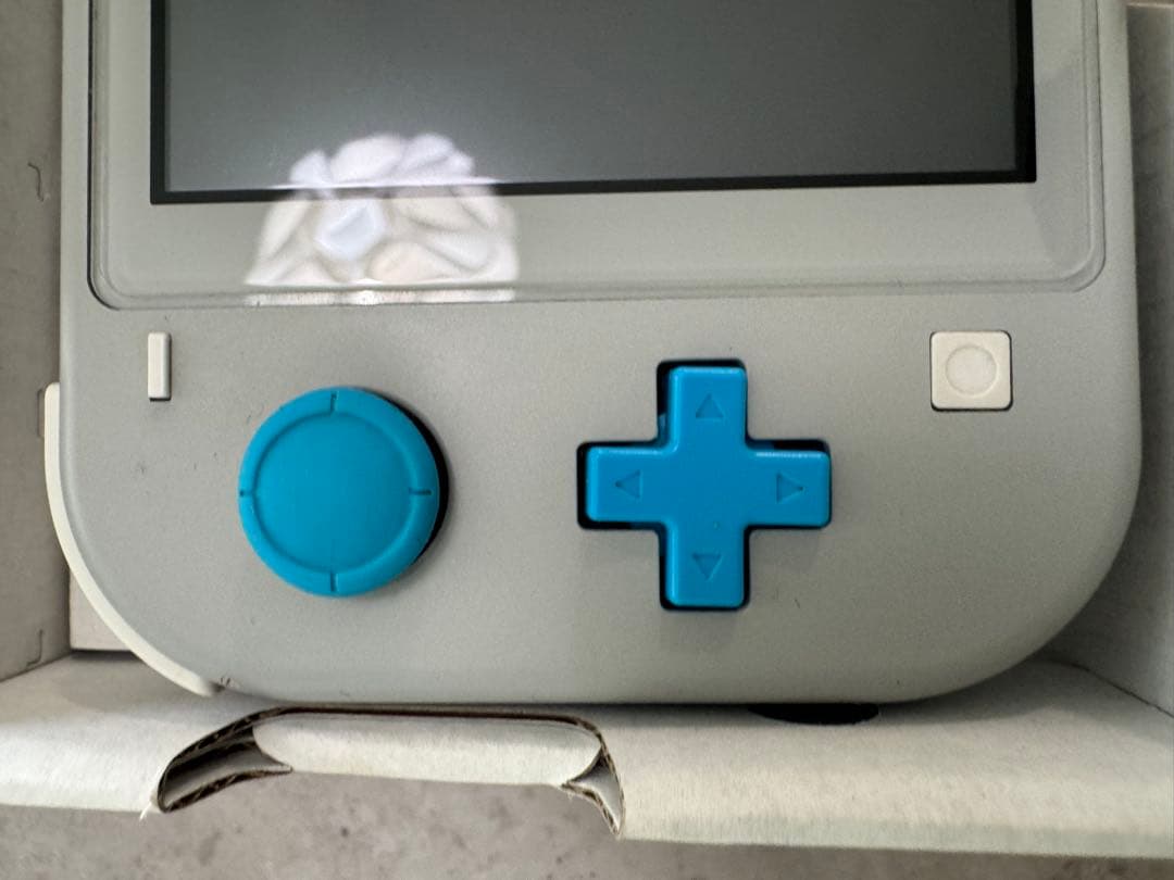 Nintendo Switch Lite グレー ポケモン ジャンク