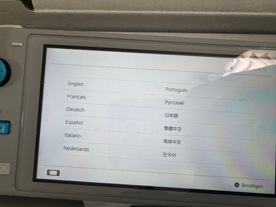 Nintendo Switch Lite グレー ポケモン ジャンク