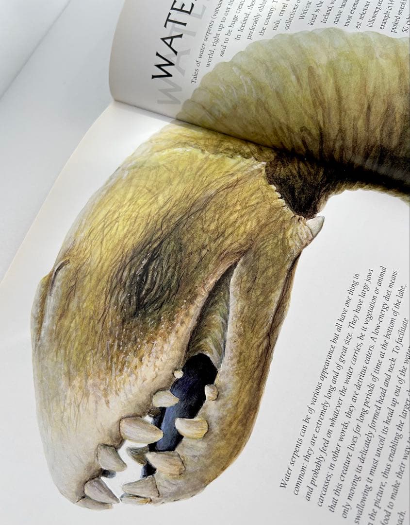 【週末限定大幅値下】希少 Meeting with Monsters 幻獣図鑑