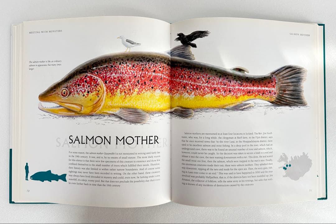 【週末限定大幅値下】希少 Meeting with Monsters 幻獣図鑑