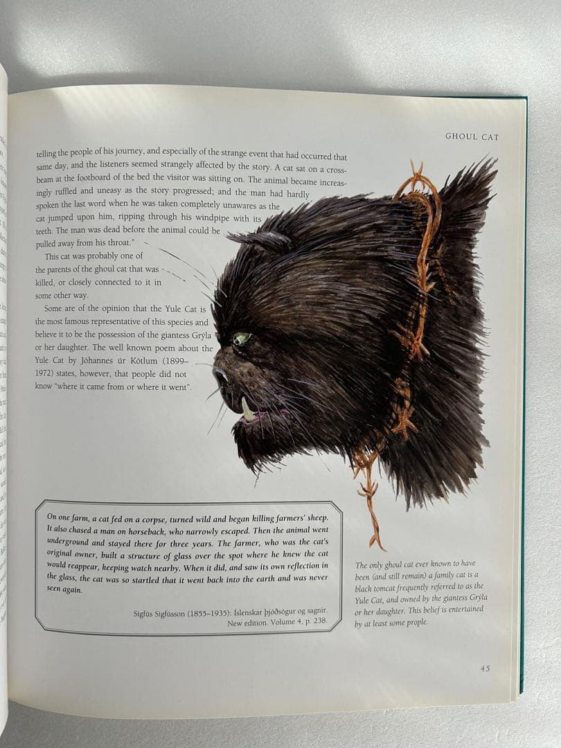 【週末限定大幅値下】希少 Meeting with Monsters 幻獣図鑑