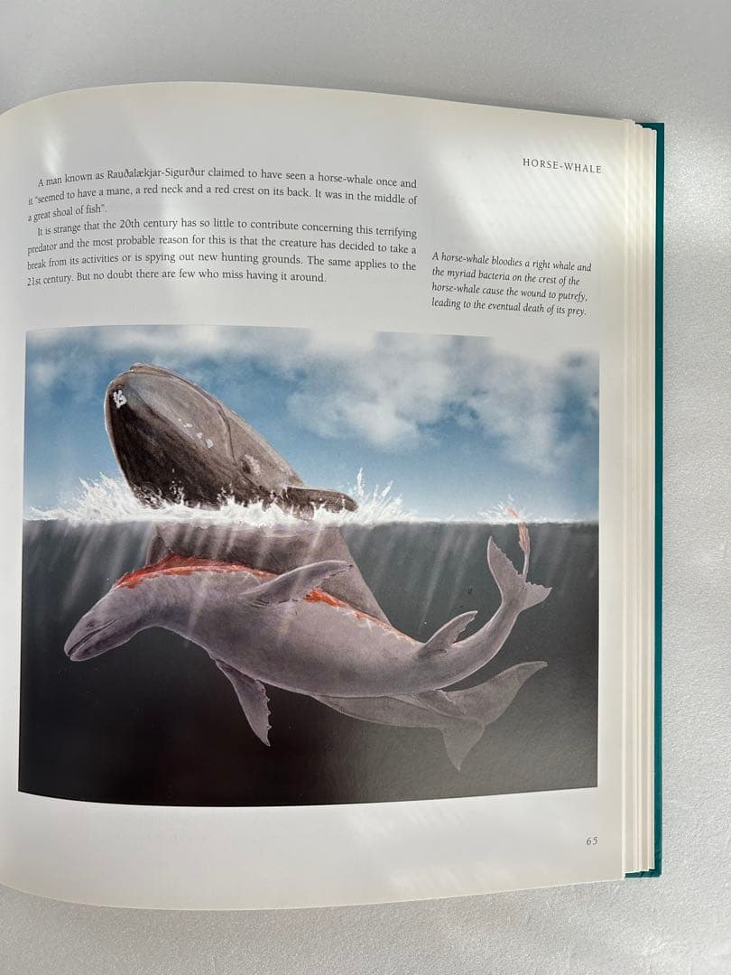 【週末限定大幅値下】希少 Meeting with Monsters 幻獣図鑑