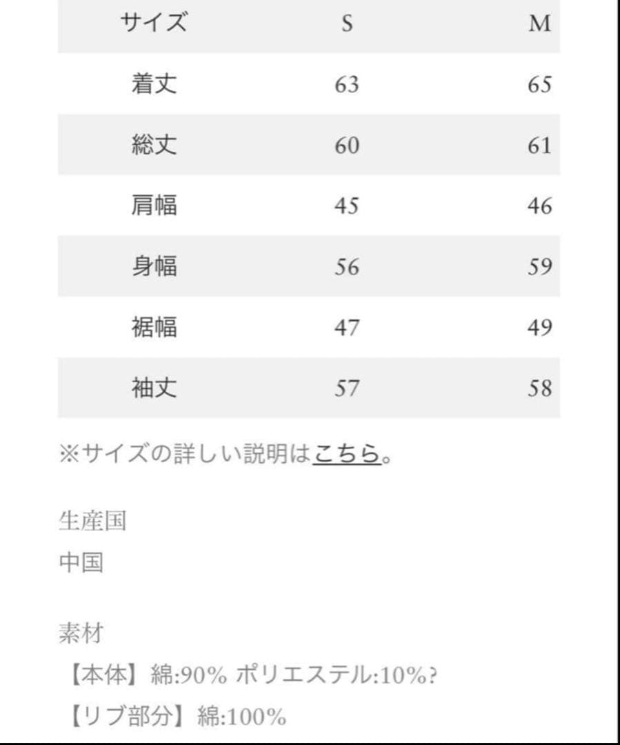 Ron Herman✖️champion フード付きパーカー S サイズ