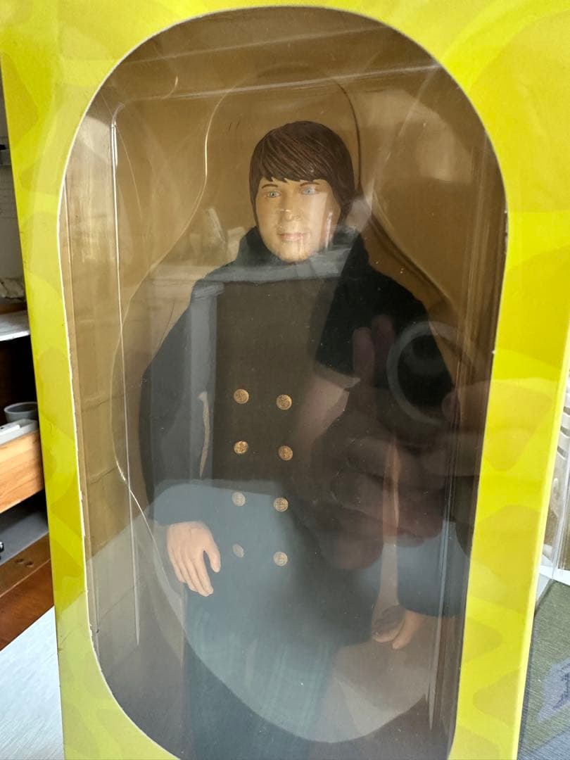 Brian Wilsonブライアンウィルソン 1966公式フィギュア特別ケース付