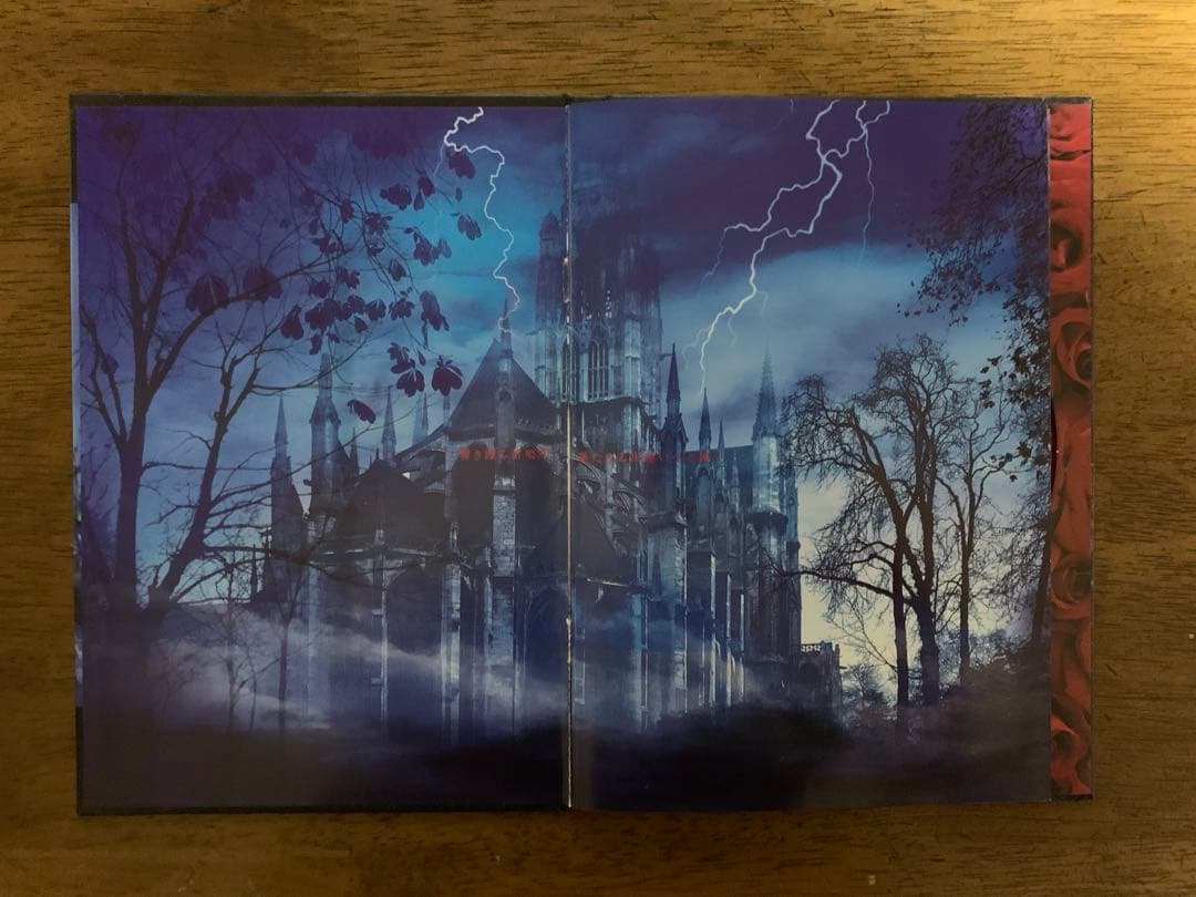 MALICE MIZER マリスミゼル 薔薇の聖堂 初回盤 CD レア 帯付