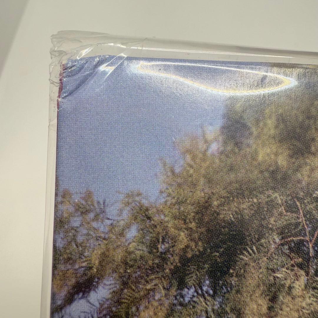 完全数量限定版 新品未開封 ROSE rosie LP レコード ロゼ