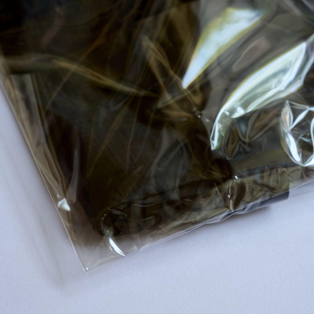 高城剛 nextraveler ネクストラベラー Eel POUCH