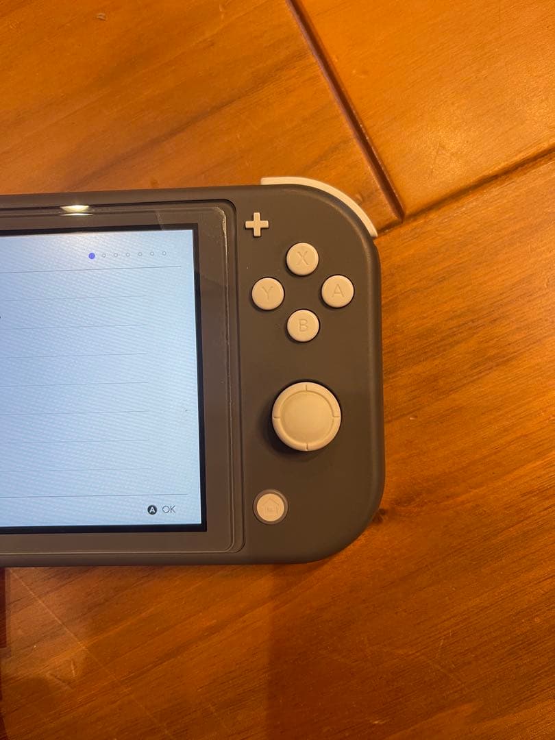 任天堂Switchライト　ケース付き　美品