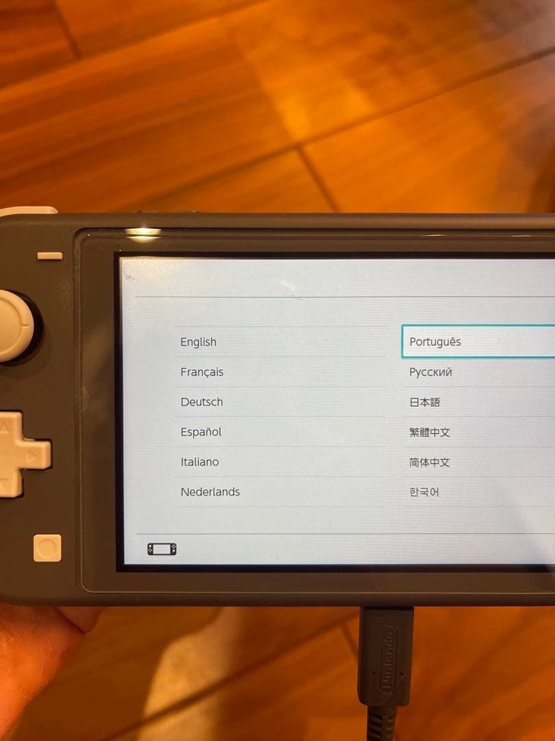 任天堂Switchライト　ケース付き　美品
