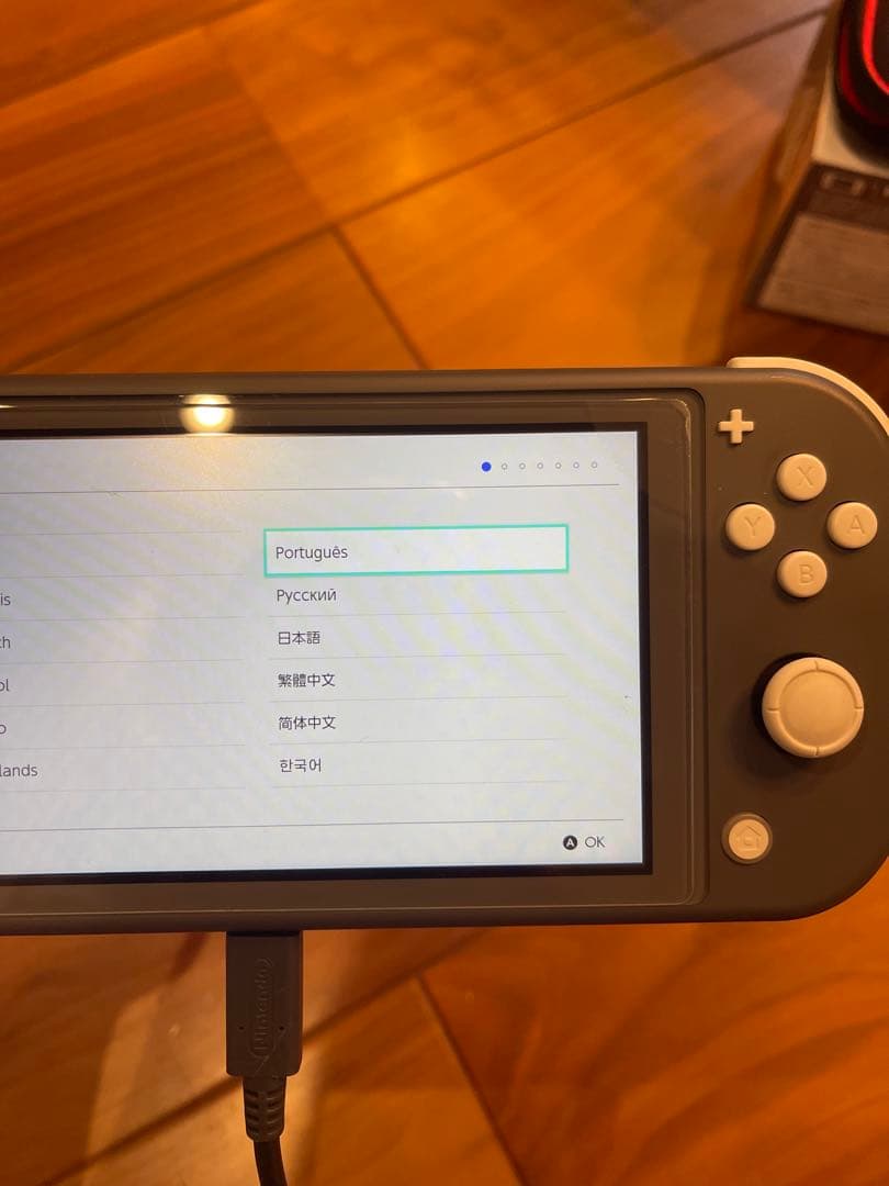 任天堂Switchライト　ケース付き　美品