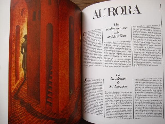 REMEDIOS VARO　レメディオス・バロ　画集