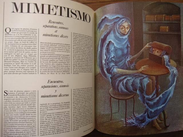 REMEDIOS VARO　レメディオス・バロ　画集