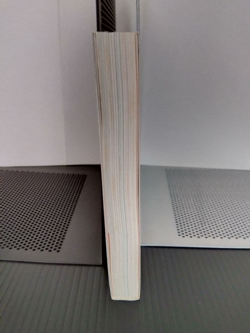 鏡の国 美しい日本の乳房 アート 芸術 写真