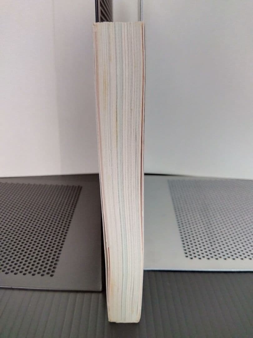 鏡の国 美しい日本の乳房 アート 芸術 写真