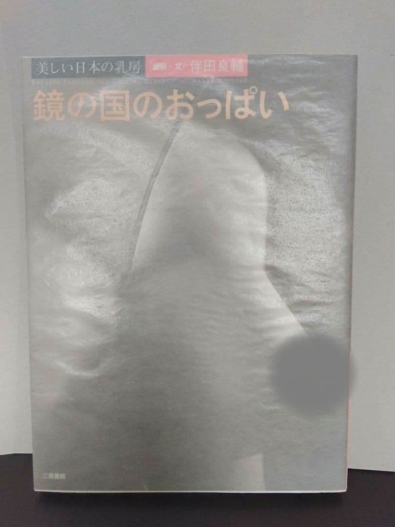 鏡の国 美しい日本の乳房 アート 芸術 写真