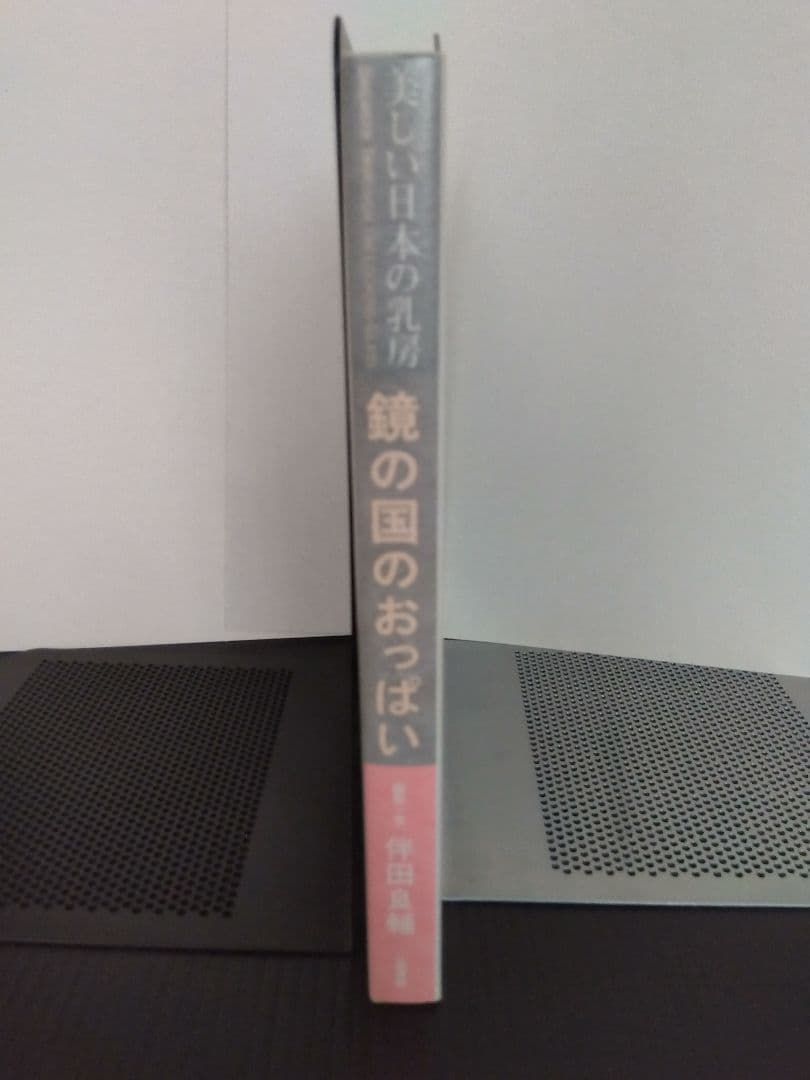 鏡の国 美しい日本の乳房 アート 芸術 写真