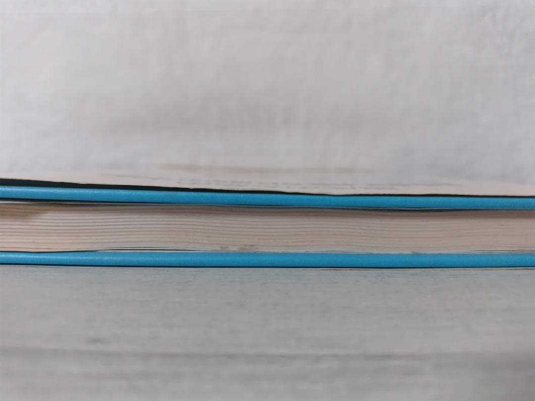 臨床のための神経機能解剖学／後藤文男 nbz