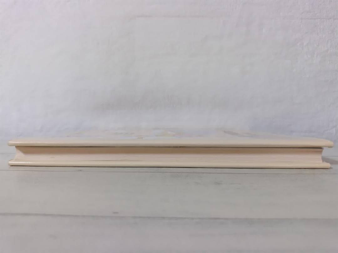 臨床のための神経機能解剖学／後藤文男 nbz