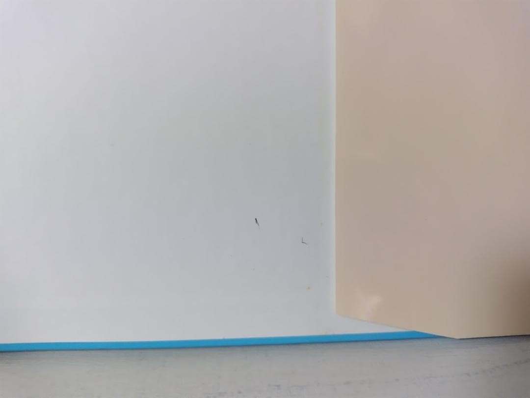 臨床のための神経機能解剖学／後藤文男 nbz