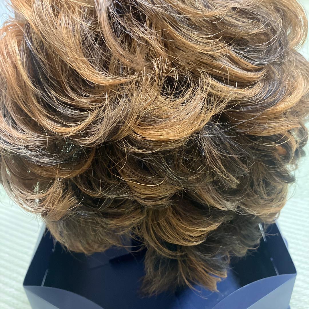 morefleur モアフルール ウィッグ 人毛混 ブラウン系 クリップ付き中古