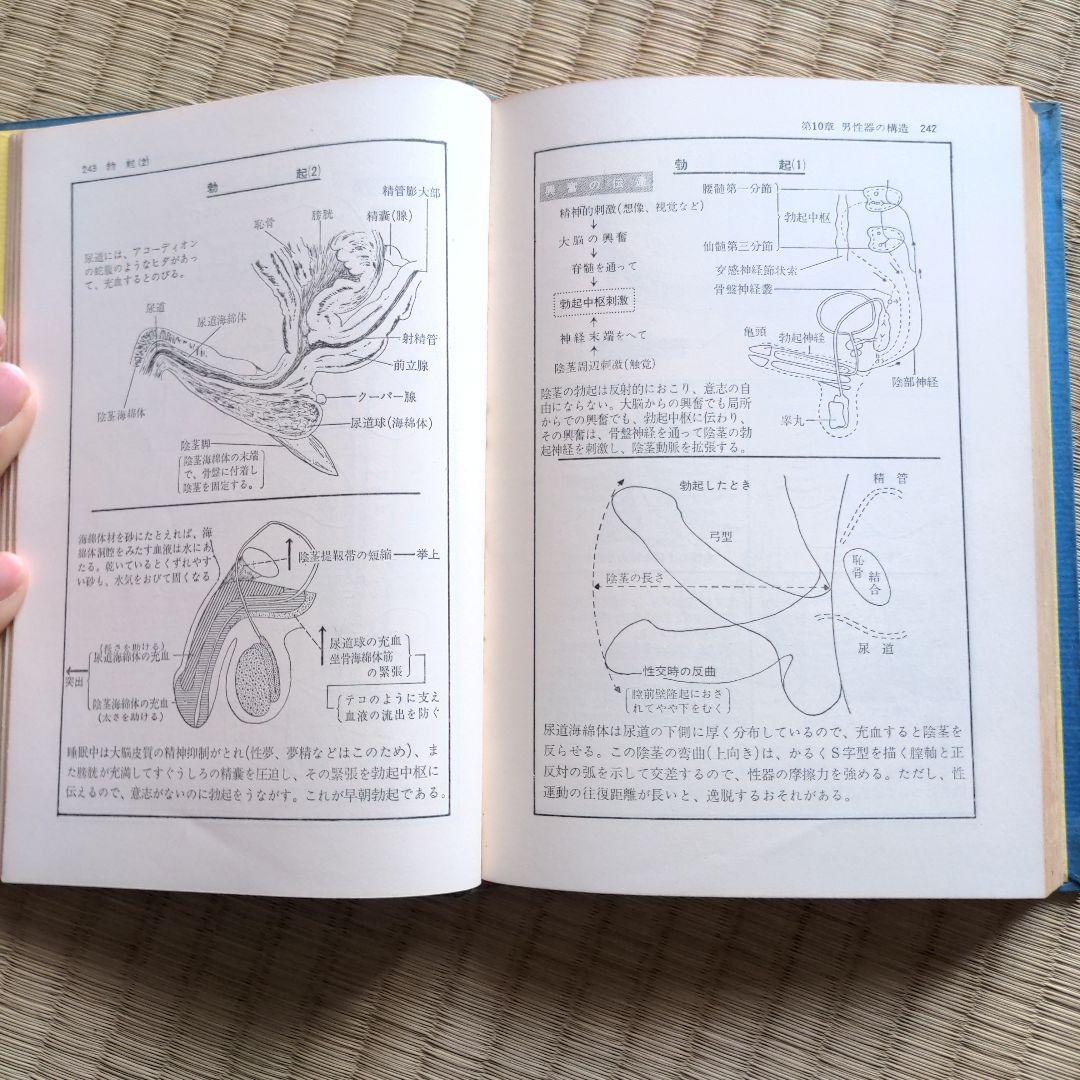 性生活解剖図譜 松戸尚男著