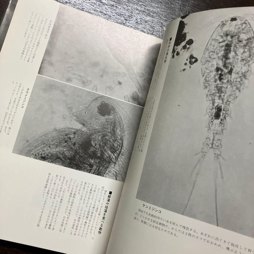 希少　大型本　初版　顕微鏡の世界　初版　ビニールカバー・函付　辻井政一