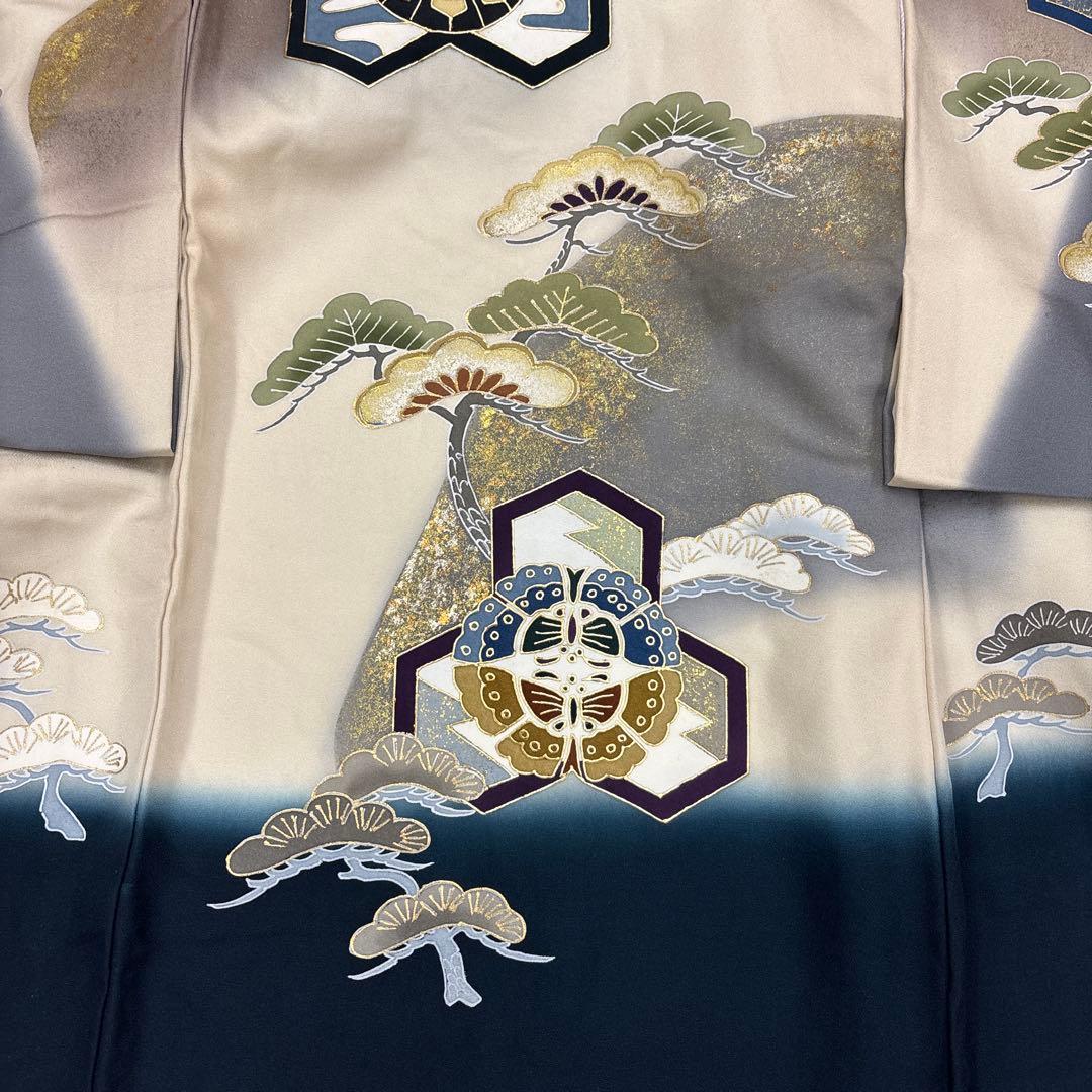 みぃ祝箱入新品正絹祝着京友禅高級手描き染、豪華ボカシ盛本金入大王松宝尽し文