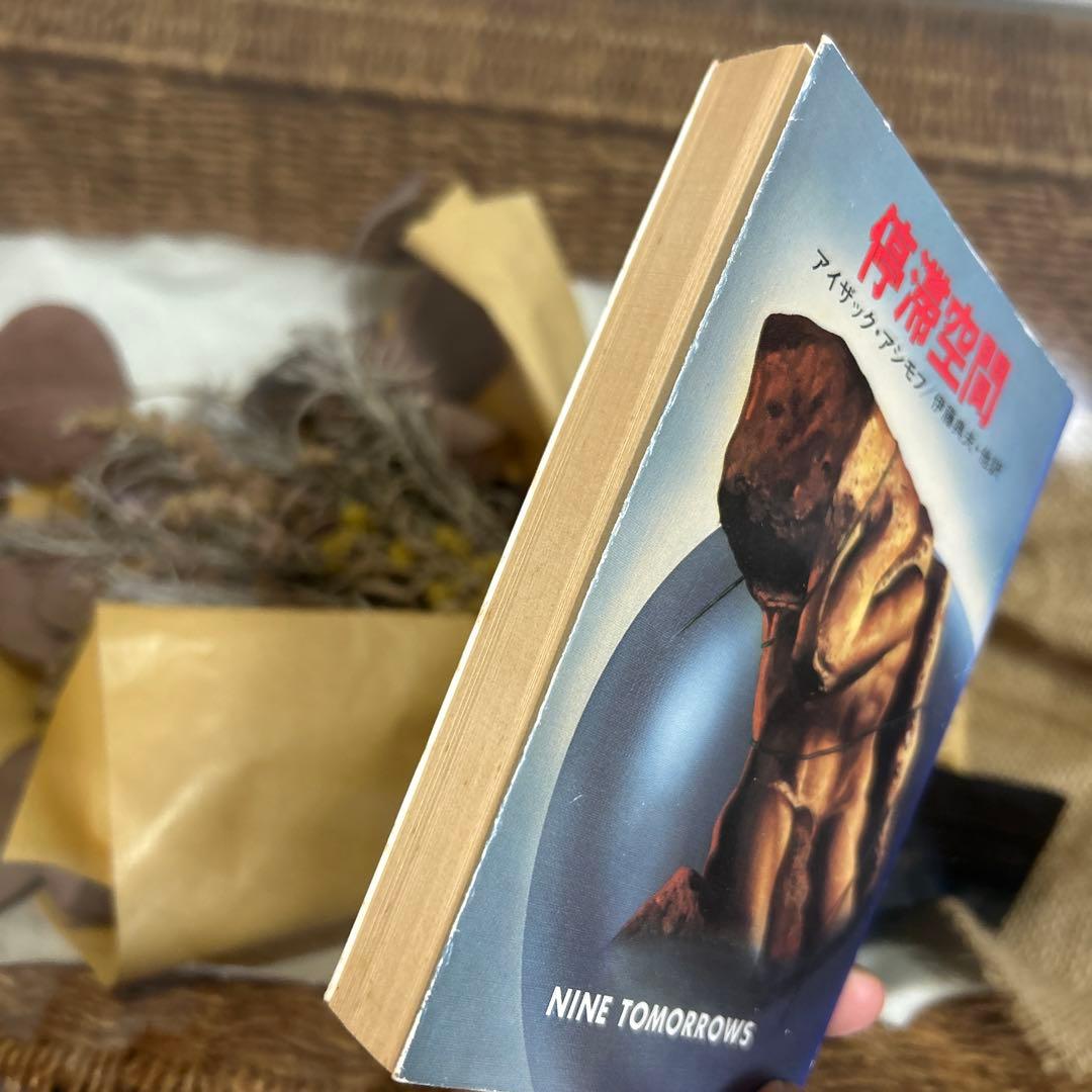 【アイザック・アシモフ　初版❗️】　停滞空間　ハヤカワ文庫