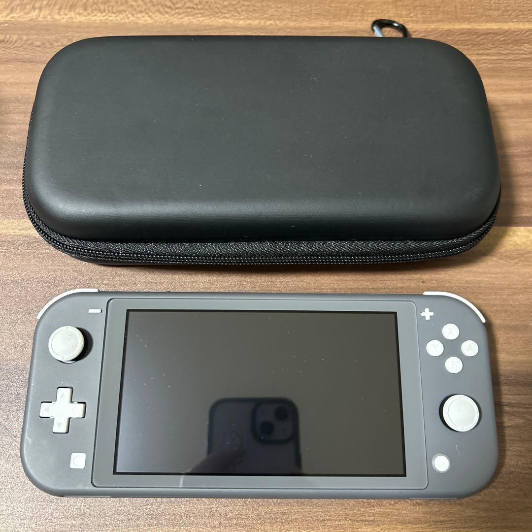 Nintendo Switch Lite + ケース+usbケーブル（AtoC）