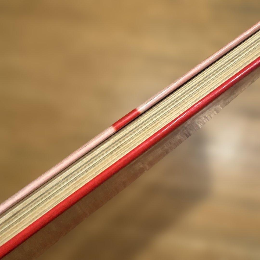 伊坂芳太良の世界 1928〜1970