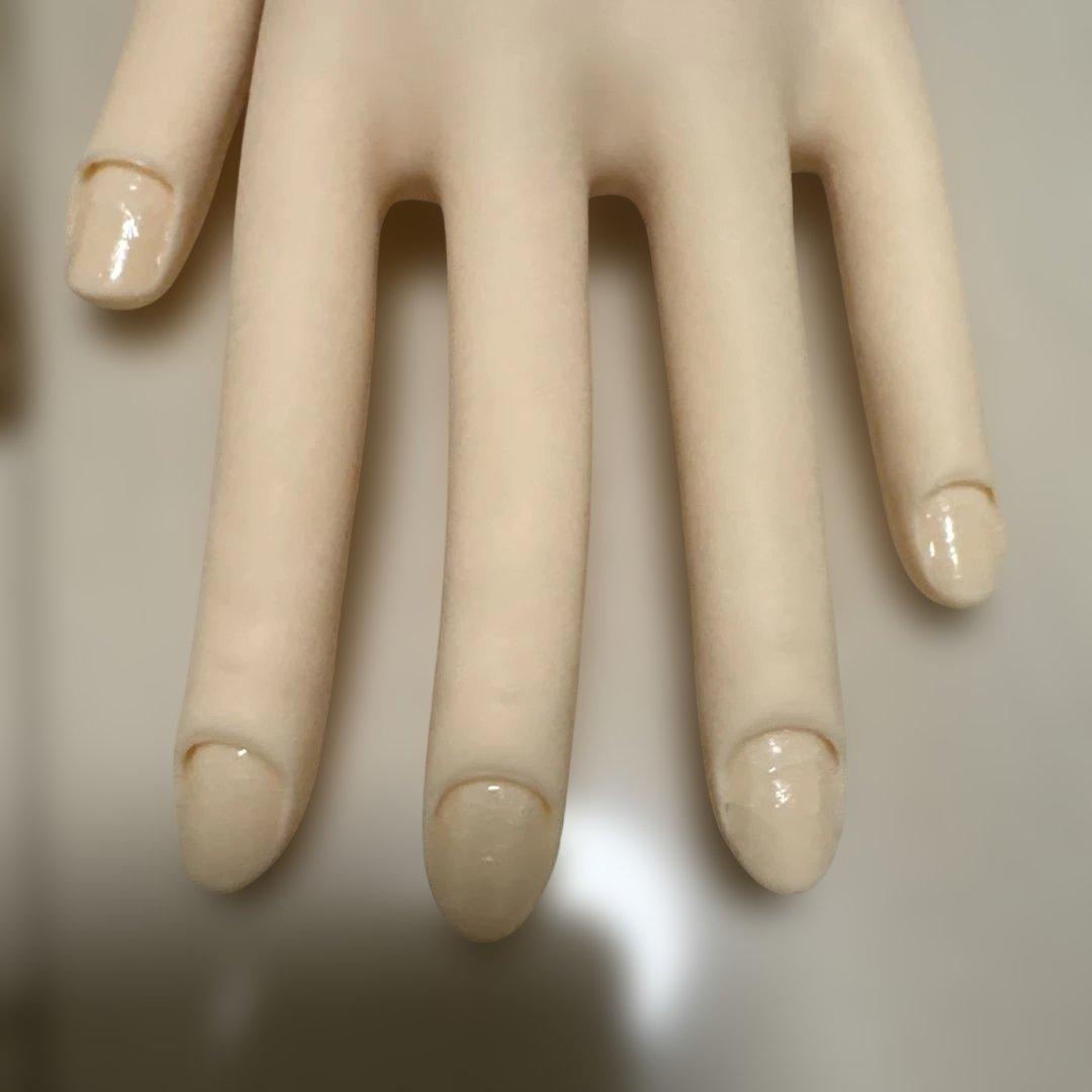 ネイリスト技能検定試験用JNEC認定　STモデルハンド