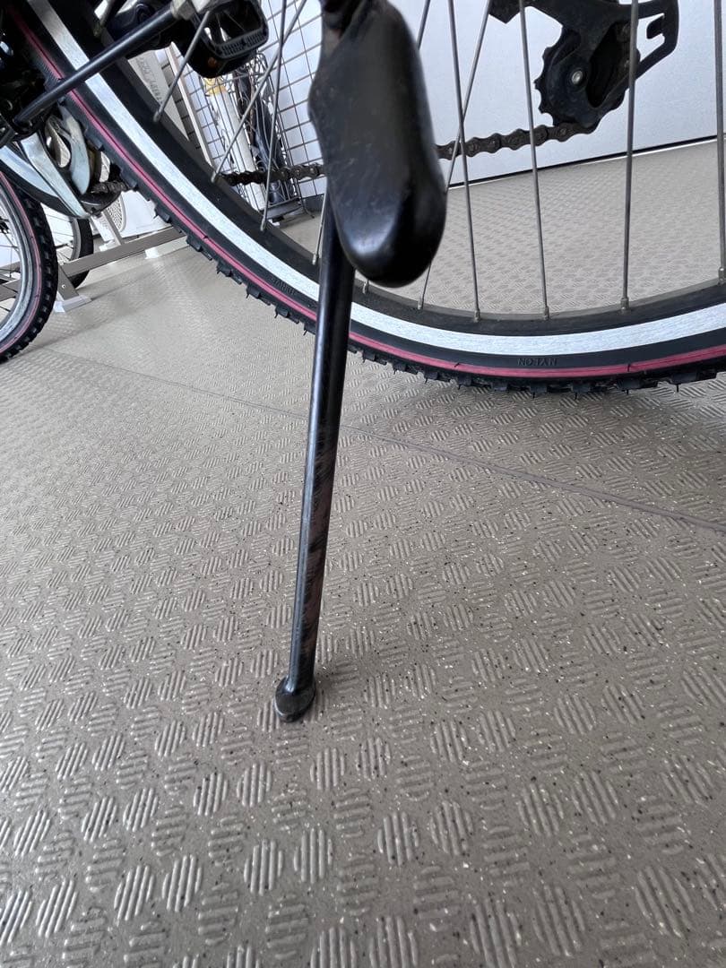 【直接お渡し限定】　ブリヂストン　エクスプレスジュニア　24インチ　点灯虫