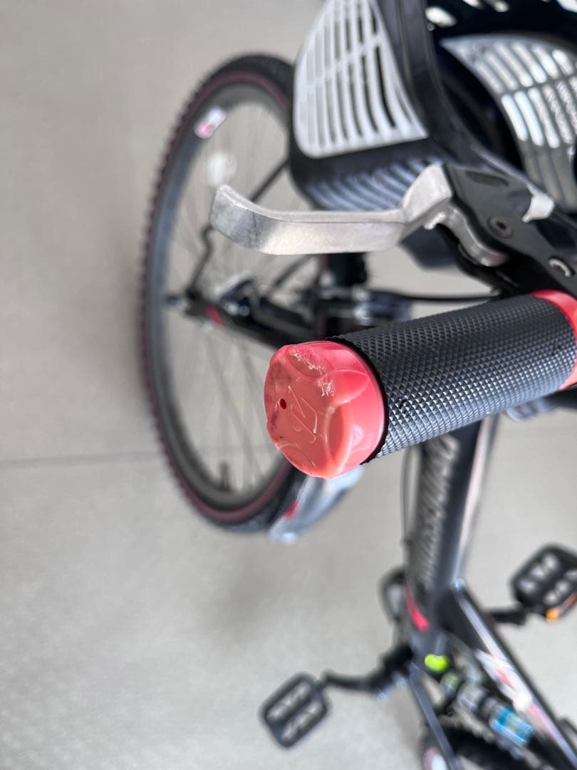 【直接お渡し限定】　ブリヂストン　エクスプレスジュニア　24インチ　点灯虫