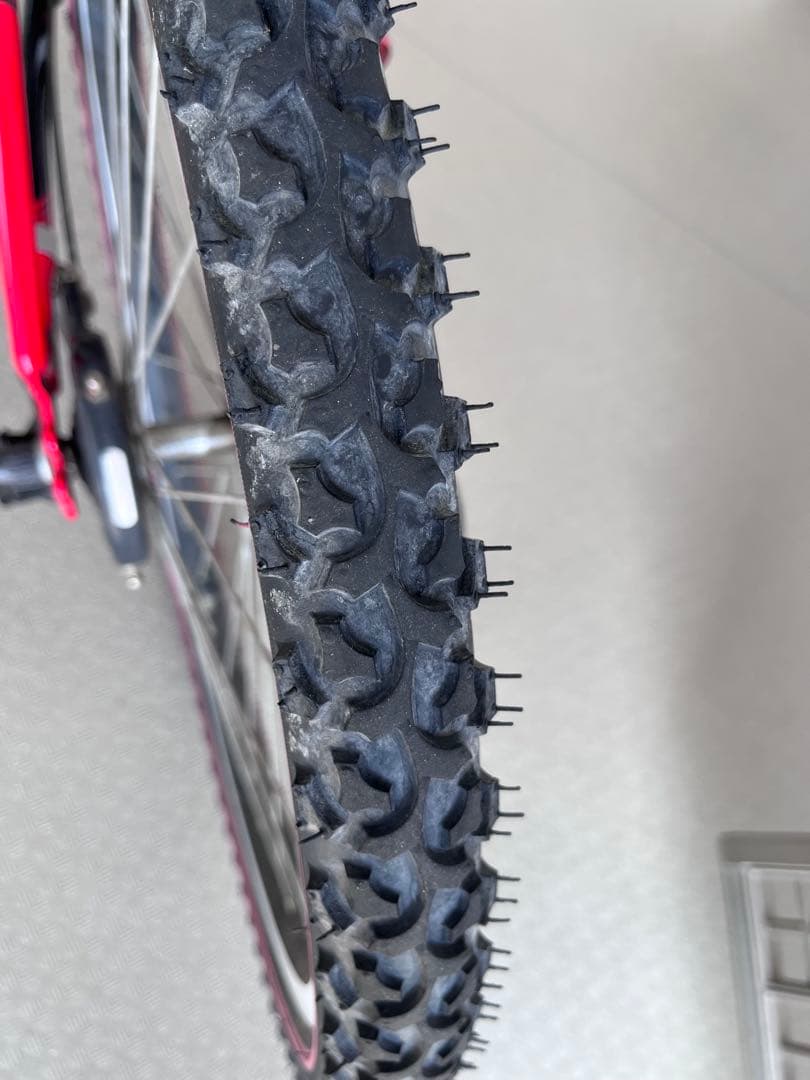 【直接お渡し限定】　ブリヂストン　エクスプレスジュニア　24インチ　点灯虫