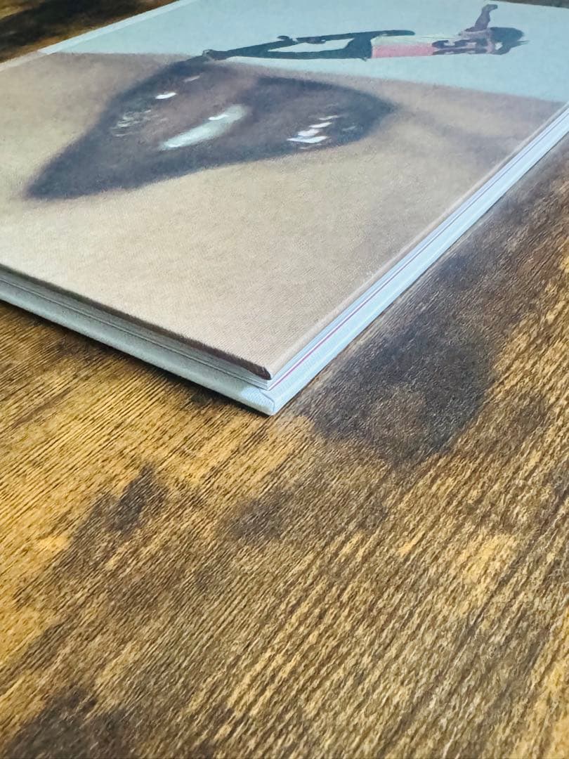 【希少本】Supreme David Sims ポスター付