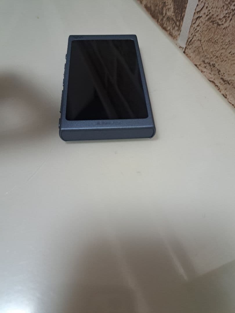 【美品】ウォークマン NW-A45 ムーンリットブルー　充電ケーブル付き