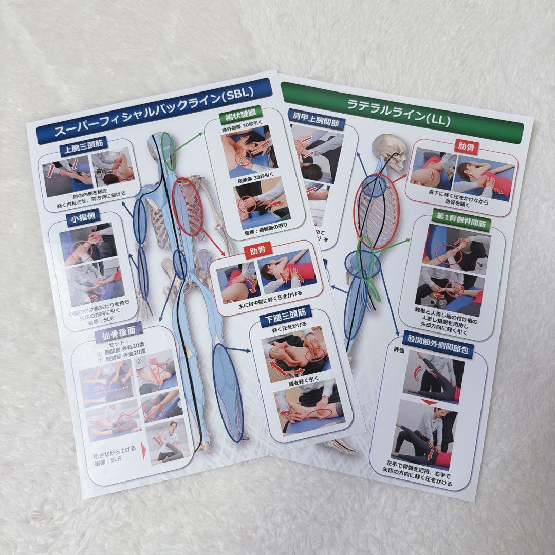 キングダムタロウ　六層連動操法　沖倉国悦先生　パーフェクトビジョンDVD