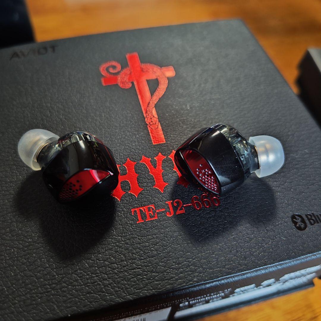 イヤホン AVIOT HYDE TE-J2-666