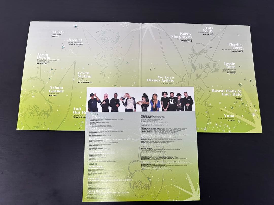 ディズニー　We Love Disney レコード　LP カラー盤